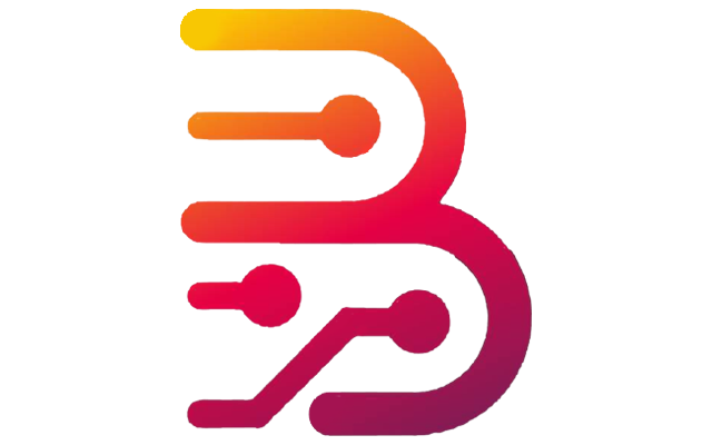 Borneo Schematic - 1 Year 2 User Activation